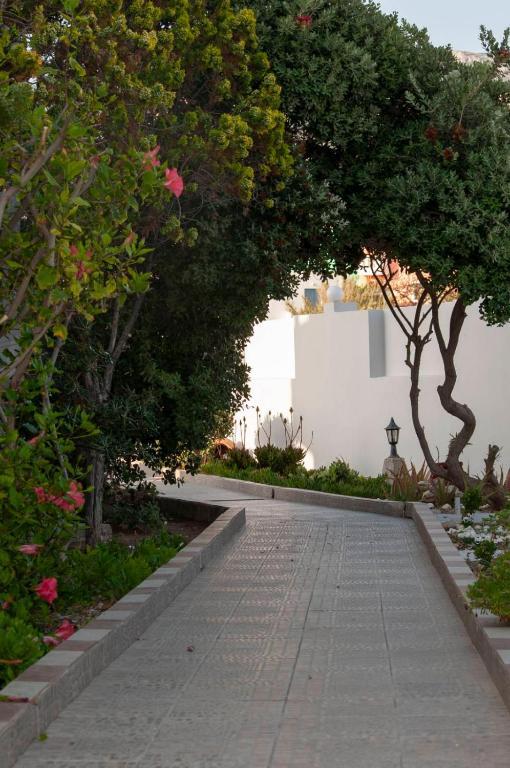 Arkasa Bay Hotel Εξωτερικό φωτογραφία